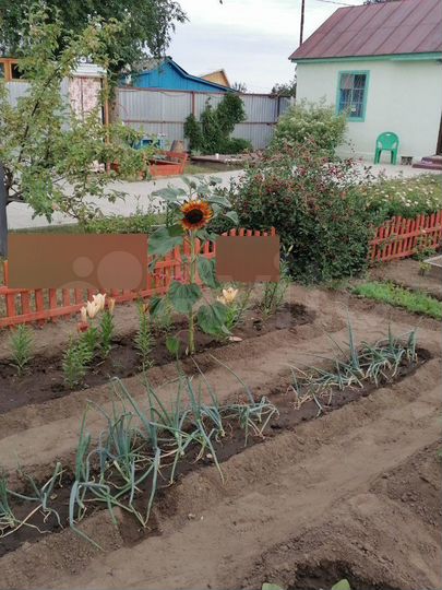 Дом 20 м² на участке 11 сот.