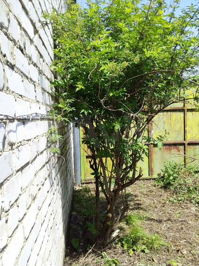 Коттедж 149 м² на участке 9 сот.