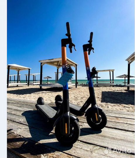 Электросамокаты Ninebot для кикшеринга