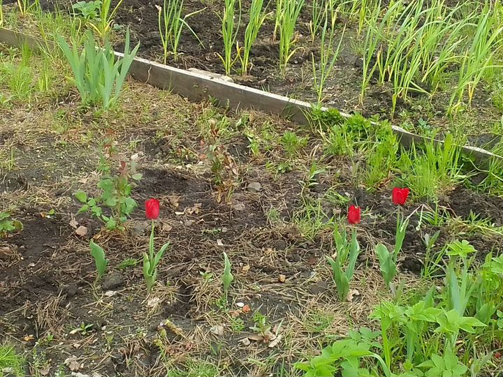 Дача 20 м² на участке 6 сот.