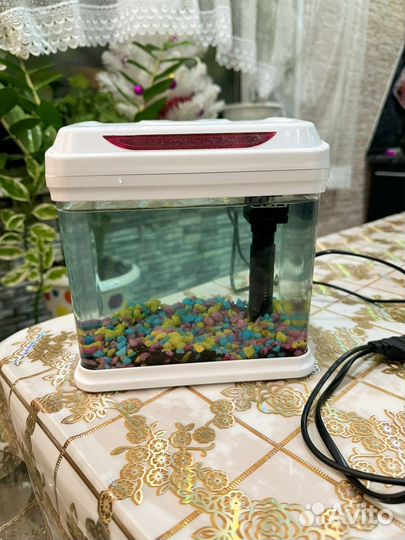 Мини аквариум