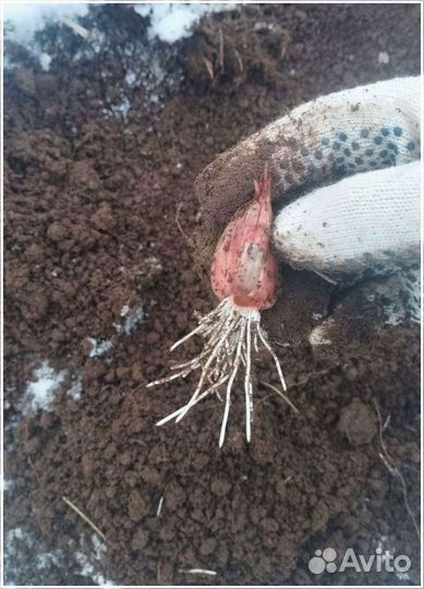 Прибыльный бизнес гарантированный доход