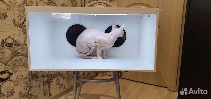 Игра Кажется нащупал, неизвестная коробка