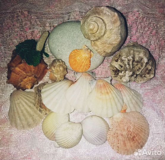 Набор для аквариума