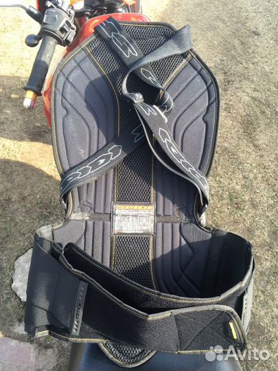 Защита спины Spidi Back Warrior