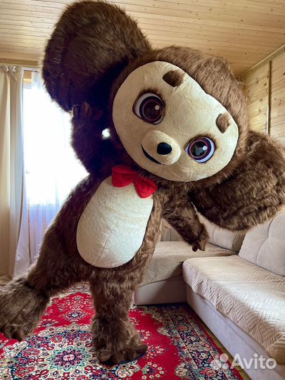 Живой Чебурашка