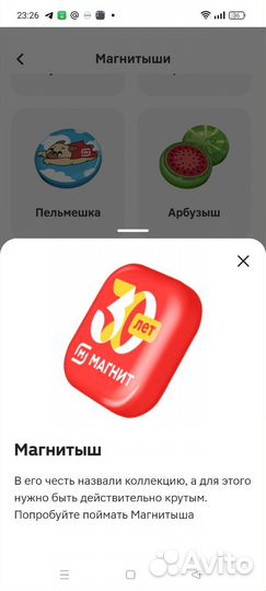 Магнитыши обмен