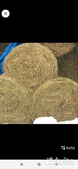 Сено в рулонах