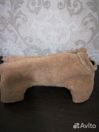 Одежда для йоркширского терьера