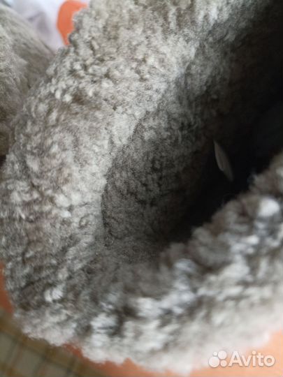 Зимние сапоги