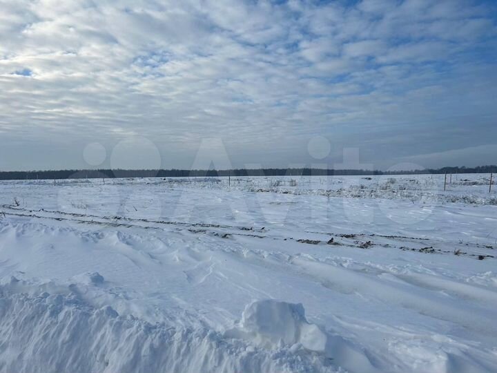 Участок 20 сот. (СНТ, ДНП)