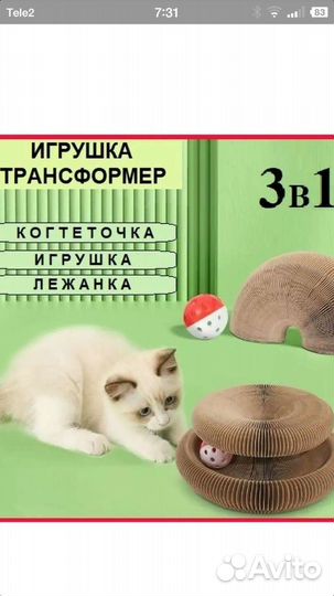 Новая когтеточка и игрушка для кошек