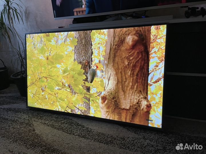 Новый 50д 4k Starvind на android