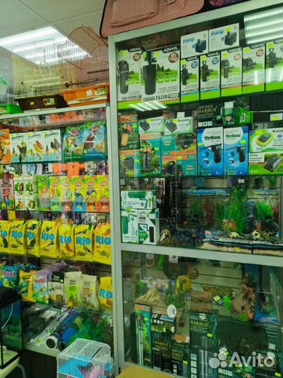 Корма для животных