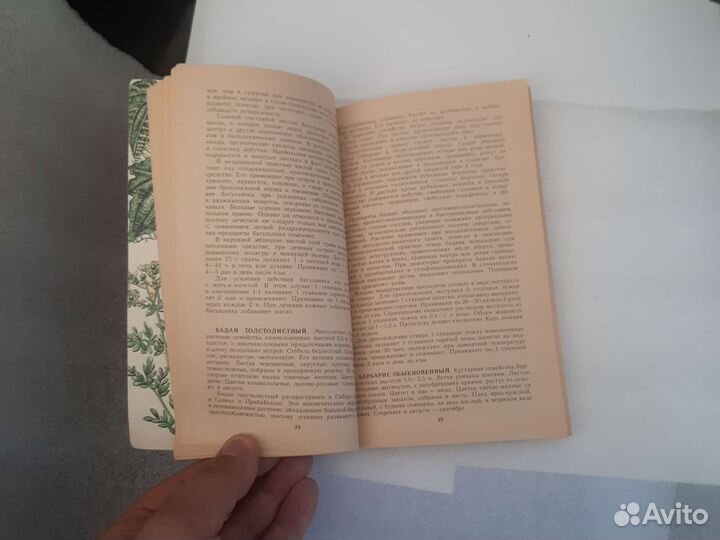 Лекарственные растения. Использование в народной