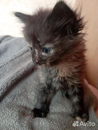 Очаровательные девочки