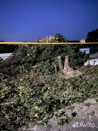 Разнорабочие