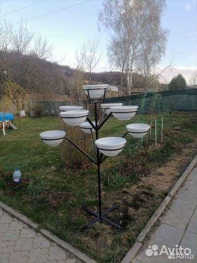 Петуниевое дерево