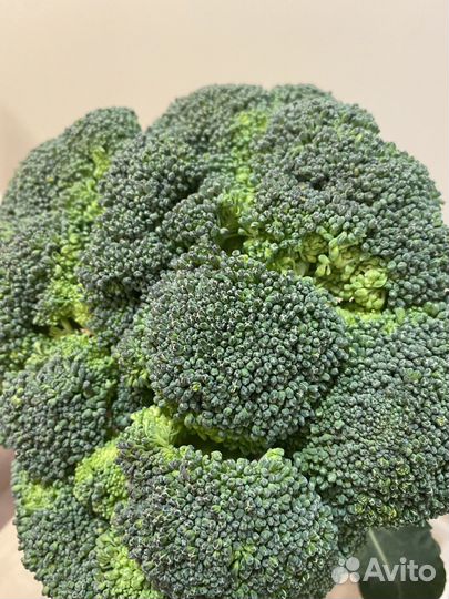 Цветная капуста брокколи