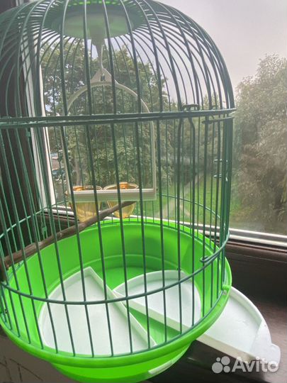 Клетка для птиц