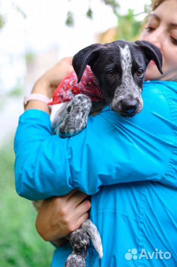 Помогите малышке