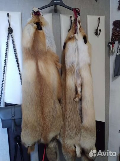 Лисьи шкуры