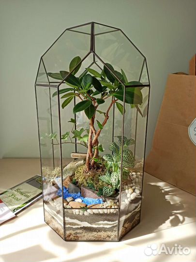 Флорариум 