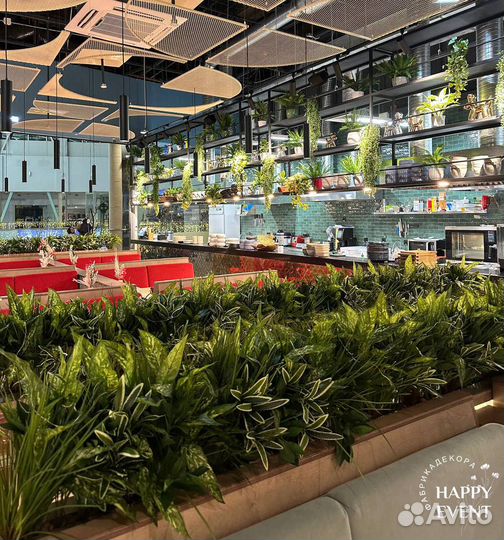 Фитодизайн и озеленение кафе, ресторанов, офисов
