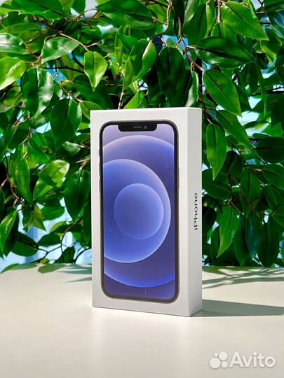 iPhone 12, 256 ГБ