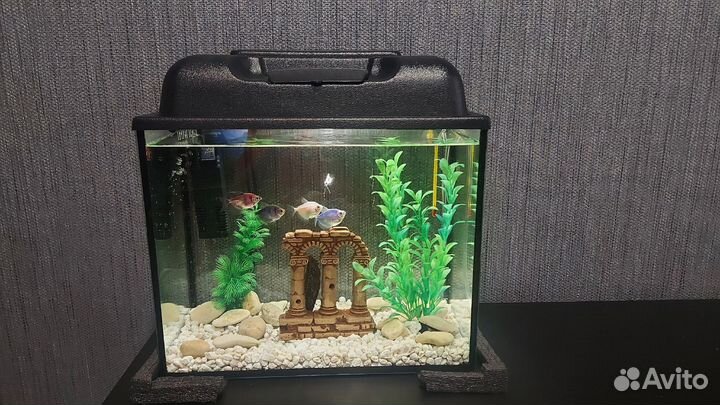 Аквариум 30л