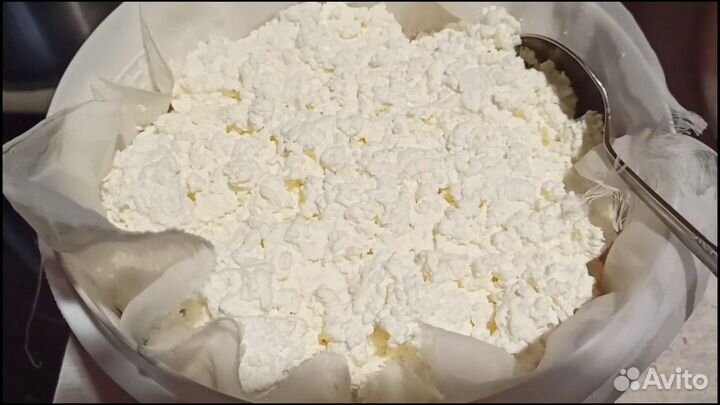 Козий творог