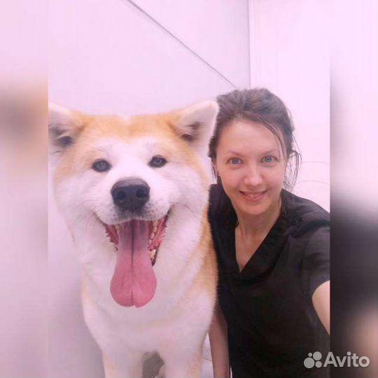 Стрижка животных