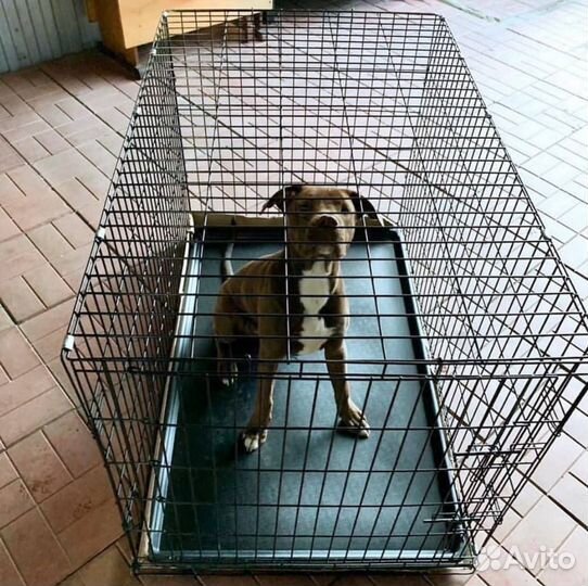 Клетка складная. Доставка, 2 двери