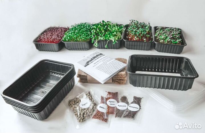 Набор для выращивания микрозелени/Стартовый набор