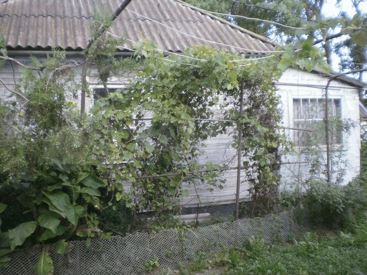 Дом 36 м² на участке 15 сот.