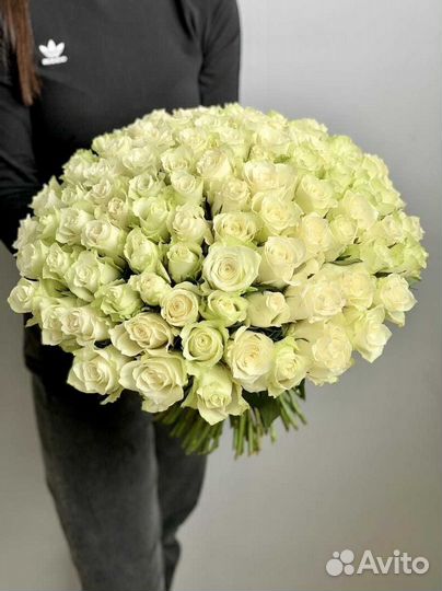 Розы букет из 101 штуки