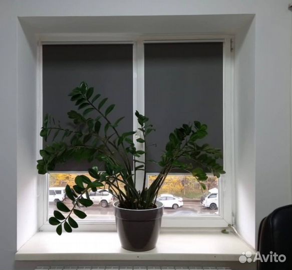 Жалюзи всех видов