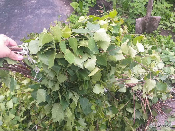 Веники для бани