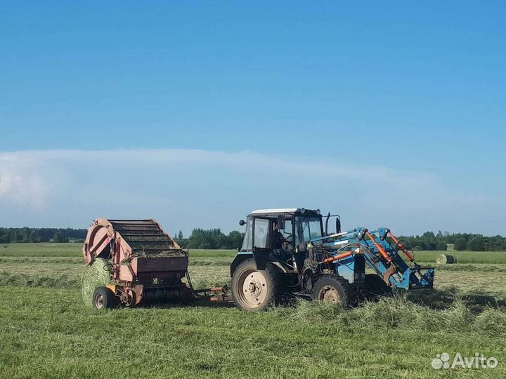 Сено свежое