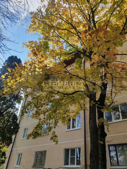 1-к. квартира, 21 м², 4/4 эт.