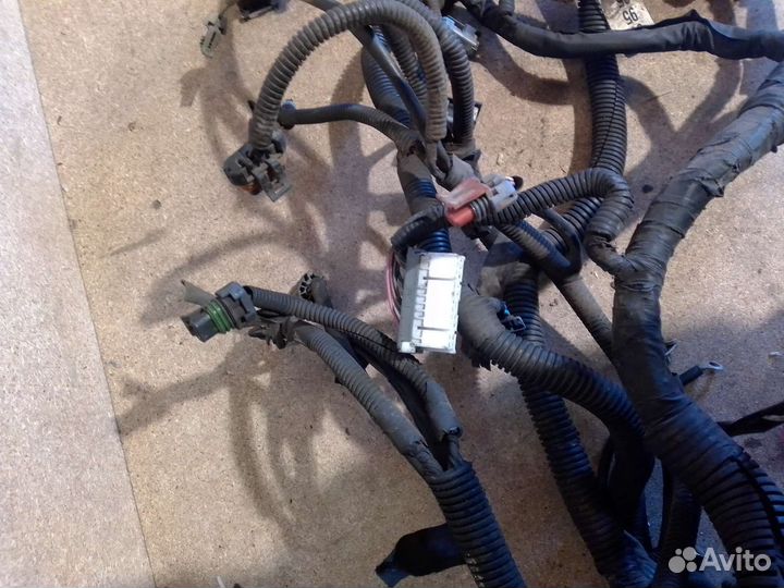 Проводка двигателя коса Chevrolet Aveo T 200