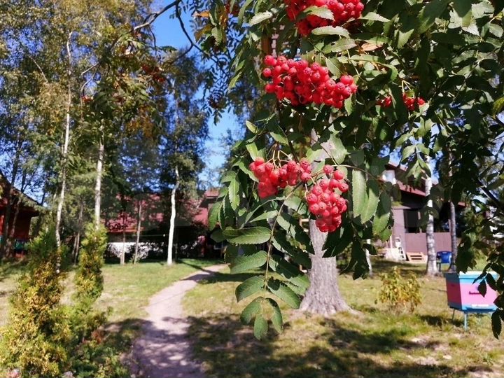 Дом 75 м² на участке 25 сот.