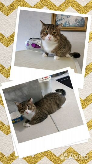 В ответственные руки