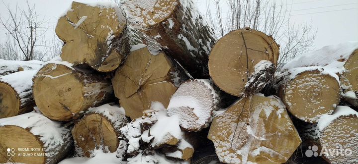 Дуб. Дубовые доски. Слэб