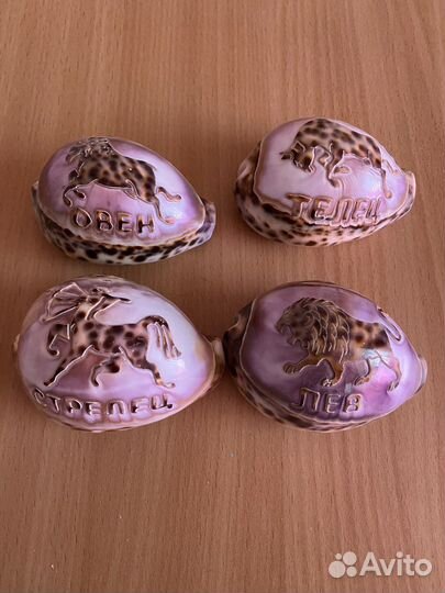 Ракушка со знаками зодиака