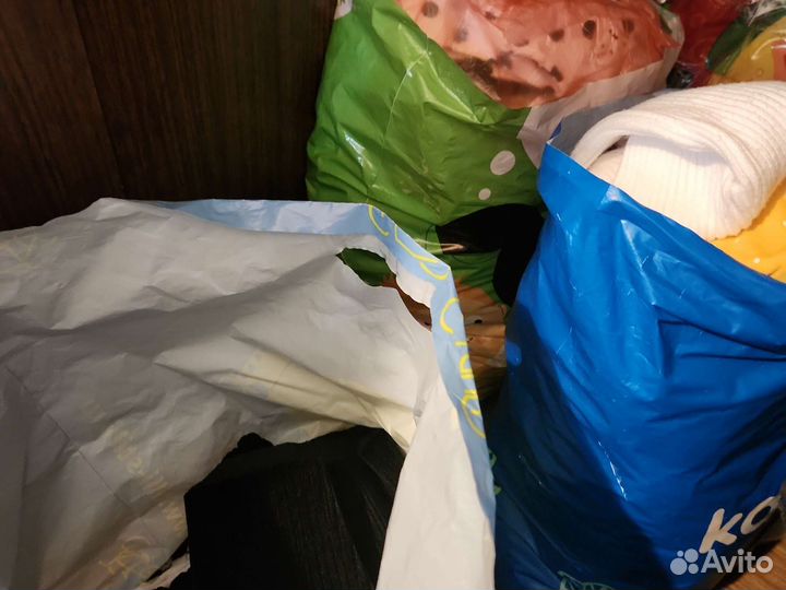 Вещи бесплатно