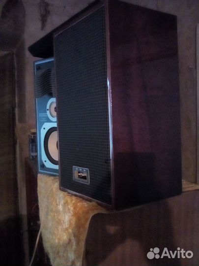 Акустика rodec RC100 и Вега 25ас-302