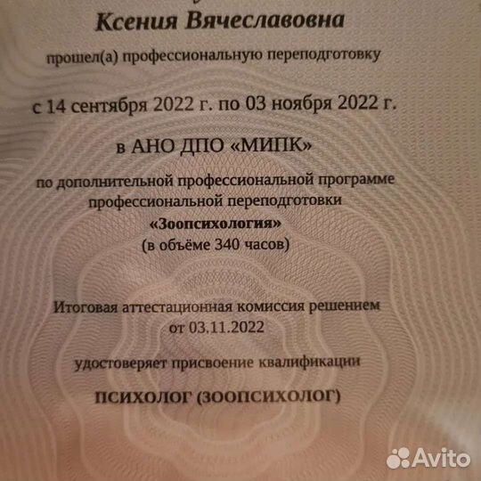 Дрессировка и зоогостиница