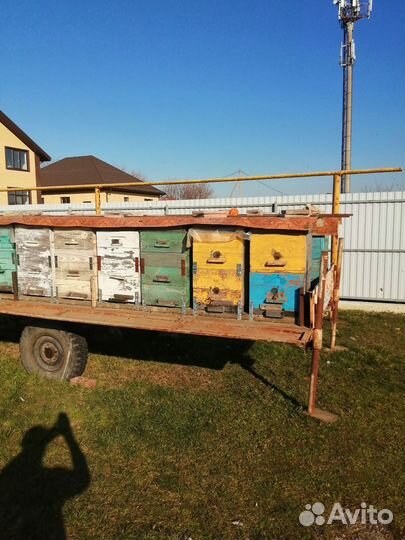 Улей для пчел бу