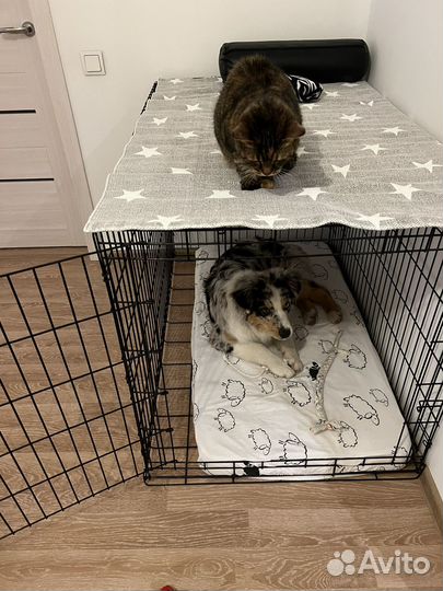 Клетка для собак 6
